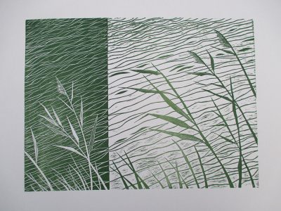 Imaginature--Reeds by rowena helston