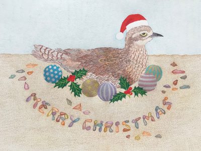 Eclectica-Xmas-Curlew